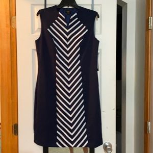 NWT. Size 10 Navy and White dress